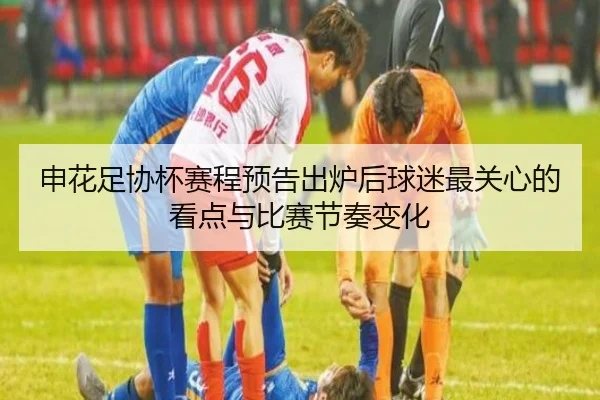 申花足协杯赛程预告出炉后球迷最关心的看点与比赛节奏变化 | yunsports